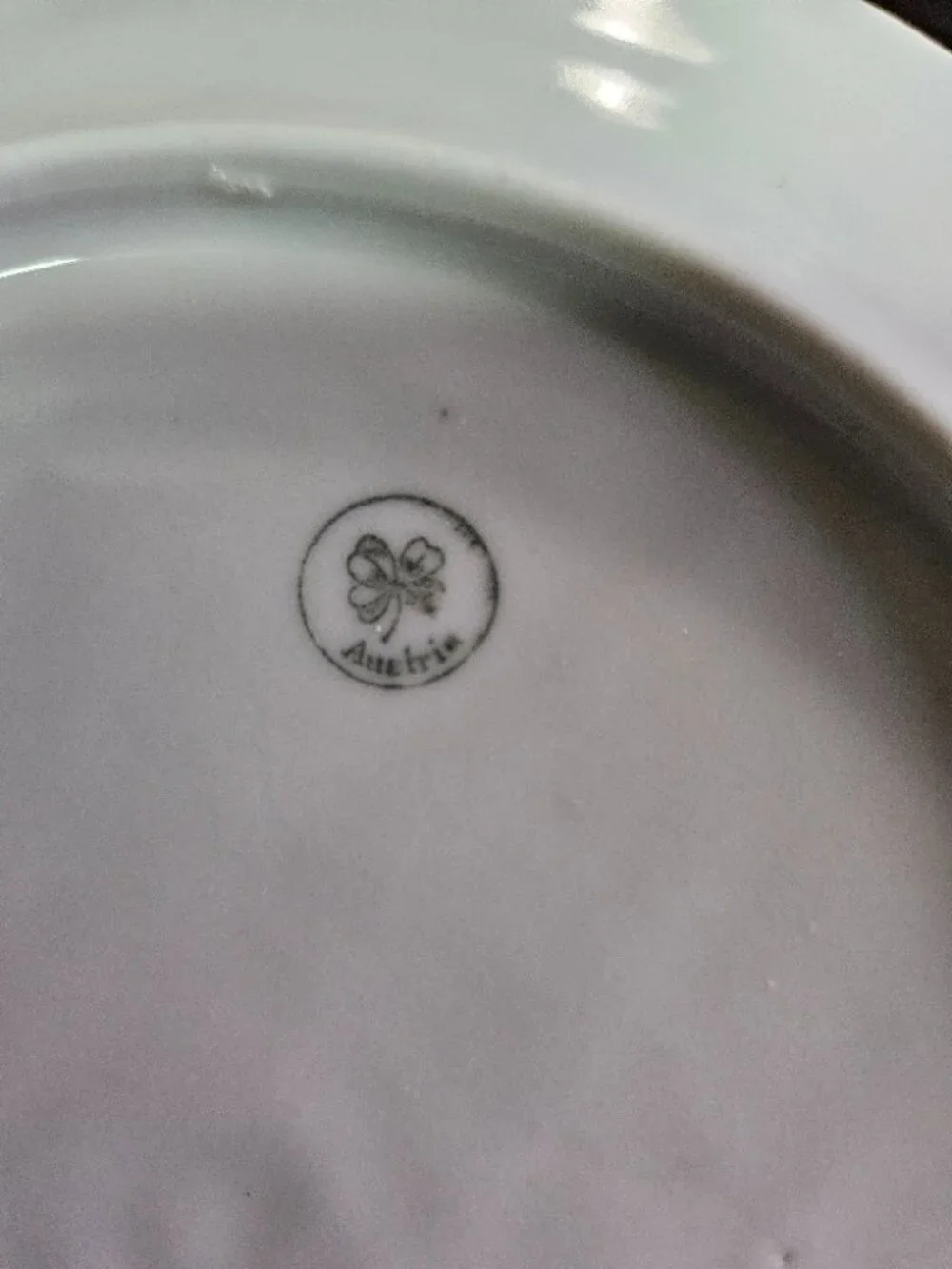 Royal Grafton Bone China Fruit and Berries Cup and Saucer Set